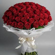 Букет 101 Красная роза Блэк Мэджик в Арске