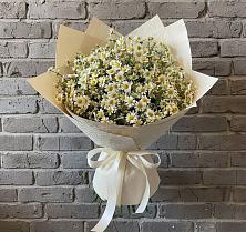Букет цветов из:  Ромашки #REPLACE_PRED# Арске