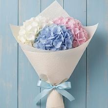 Букет цветов из:  Гортензия в Арске
