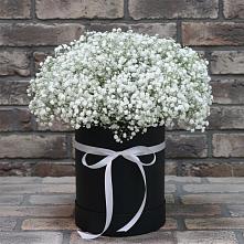 Цветочная композиция из Гипсофила в шляпной коробке в Арске