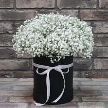 Цветочная композиция из Гипсофила в шляпной коробке в Арске