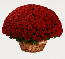 Премиум букет из: Розы в Арске