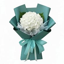 Букет цветов из:  Гортензия в Арске